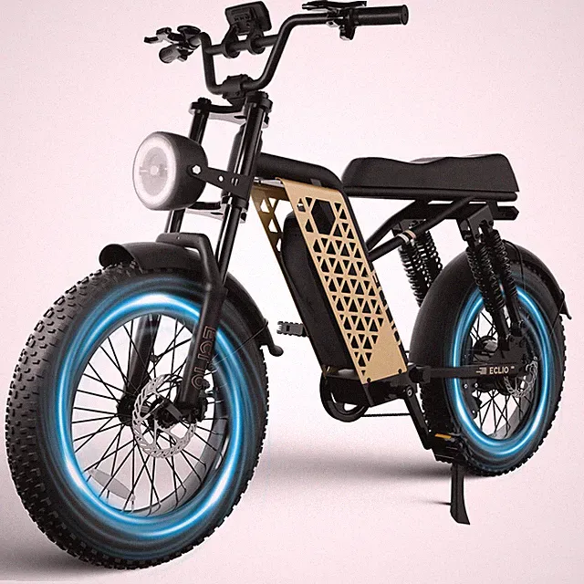 ECLIO 20" Electric Bike PEAK 1200W E-Mountain Bike 28MPH 48V 13Ah E-Dirt Bikes