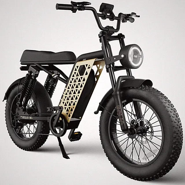 ECLIO 20" Electric Dirt Bike Electric Bike Peak 1200W 28MPH Ebike for Adults