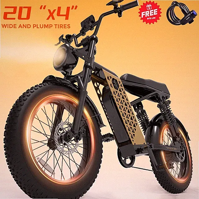 ECLIO 20" Electric Dirt Bike Electric Bike Peak 1200W 48V 28MPH Ebike for Adults