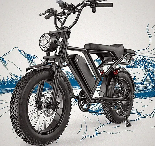 Fat Tire Electric Dirt Bike 750w Adults 20" Electric Motorcycle Ebikes 18AH