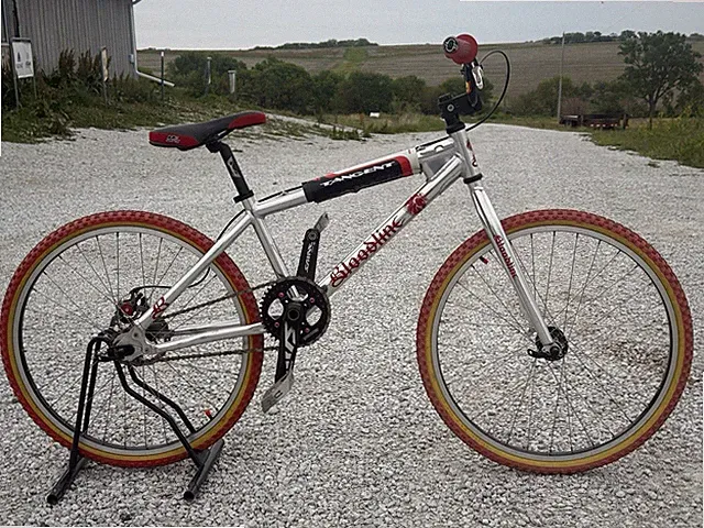 Very rare 2009 Leader Archetype Bloodline 26” Bmx Cruiser DJ Dirt Jumper Bike