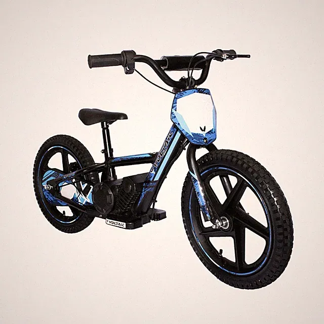 Voltaic Kids Dirt Bike LION 16” Christmas special offer